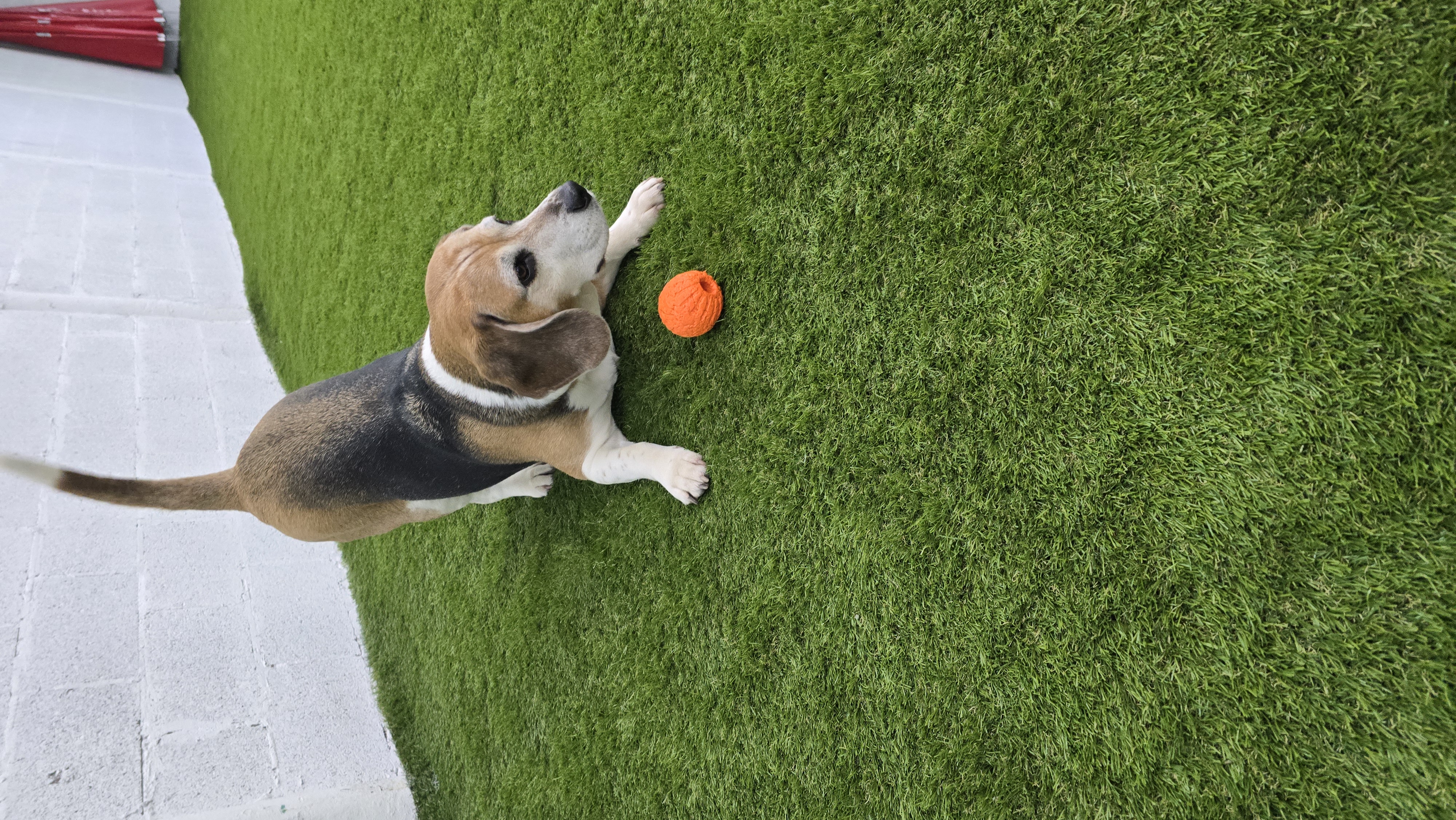 Transformation Result