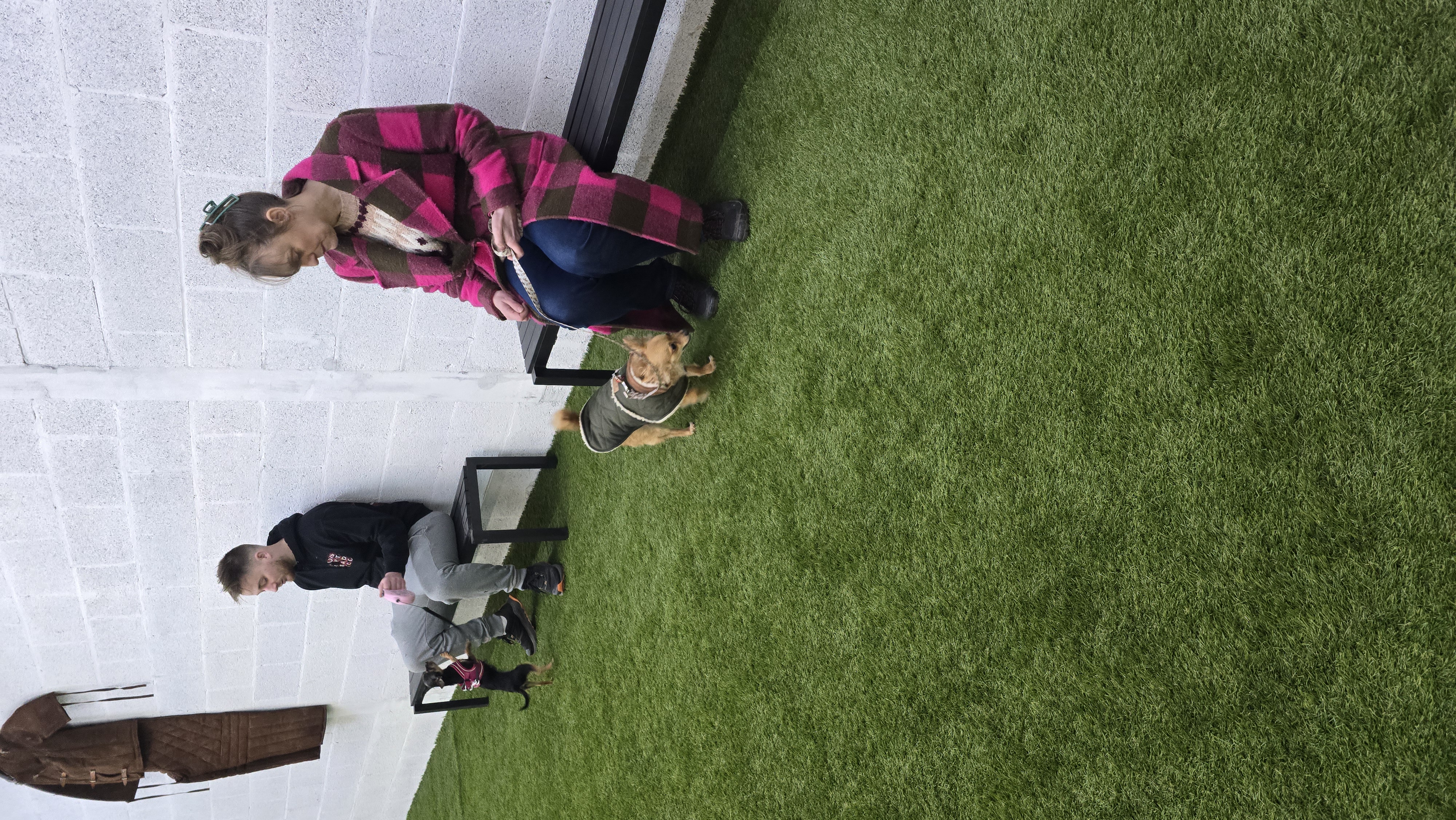 Professional dog trainer working with a dog in modern training facility